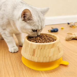Hot Selling Eco-Friendly Polished Silicone Cat Bowl Anti-Slip Pet Food Bowl with Suction Cup Factory Wholesale for Camping