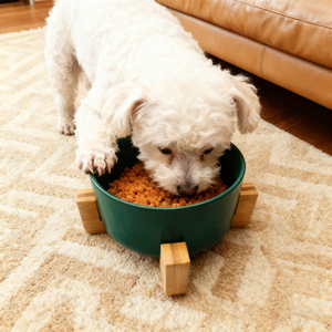 Customize Non-slip Bamboo Wooden Stand Polished Ceramic Eco-Friendly Camping Free Sample Pet Dog Bowl