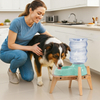 Hot Selling High Quality Bamboo Dog Bowl Stand Foldable Durable Eco-Friendly Adjustable Width Natural Color Contemporary Kitchen