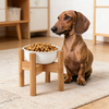 Wholesale Hand-Painted Bamboo Modern Kitchen Cat Dog Double Bowl Foldable Eco-Friendly High Foot Anti-Tumble Neck Protection