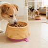 Natural Material Non-slip Polished Bamboo Cat Bowl Cup Durable Eco-Friendly LFGB Certified Customized Packing Home Use Free