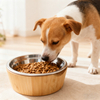 Small Portable Camping Pet Bowl for Cats and Dogs Eco-Friendly Bamboo Stand with Neck Guard 304 Stainless Steel Free Sample