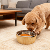 Hot Selling Eco-Friendly Bamboo Pet Tableware with Polished Inner Bowl Free Sample for Camping Use