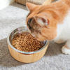 Hot Selling Eco-Friendly Bamboo Pet Tableware with Polished Inner Bowl Free Sample for Camping Use
