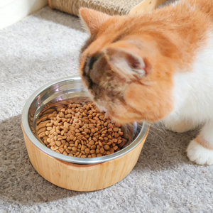 Hot Selling Eco-Friendly Bamboo Pet Tableware with Polished Inner Bowl Free Sample for Camping Use