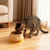 Premium Non-Slip Bamboo Cat Bowl, Suction Silicone Base Pet Feeder for Cats & Small Dogs