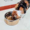 Durable Bamboo Pet Food Bowl Set, Rust-Resistant Stainless Steel Insert for Dry/Wet Food, Suitable for Pet Shop and Daily Use