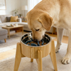 Quality Certification Bamboo Raised Pet Bowl Large Dog Slow Food Bowl Holder with Stainless Steel Bowl for Kitchen Use