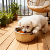Hot Selling Polished BPA Free Bamboo & 304 Stainless Steel Dog Food Bowl Rack for Camping Use Cats & Dogs